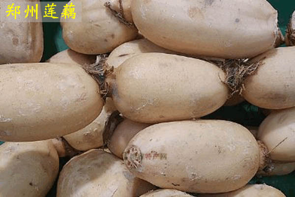 郑州特产有哪些土特产零食，郑州十大特产是什么（郑州十大名优特产）