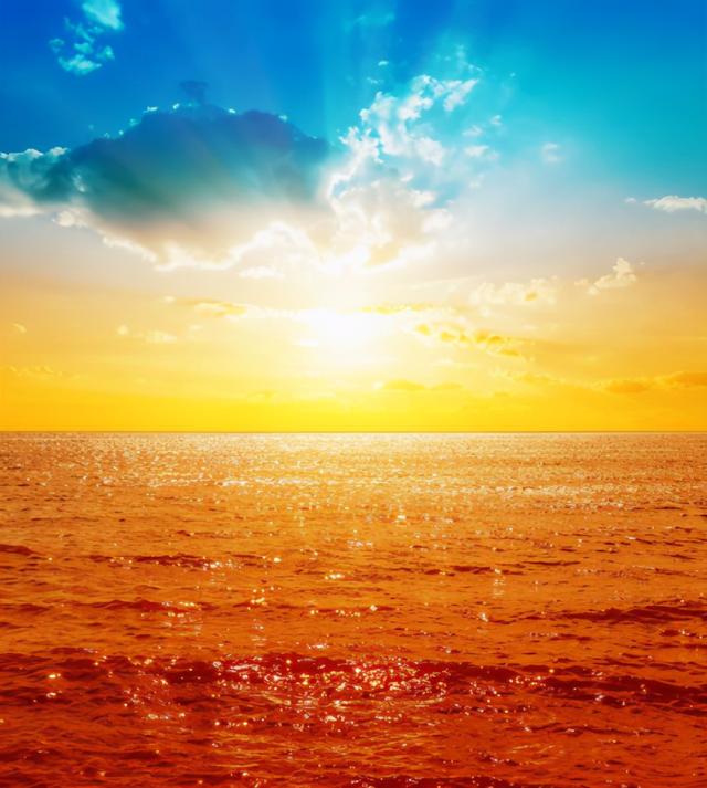 死海和红海哪个盐度高 死海与红海哪一个盐度更高，死海和红海哪个盐度高（竟还是三大潜水圣地之一）