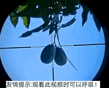 耗油根是什么意思，蚝油是用来干嘛的（有这样的游戏你会玩吗）