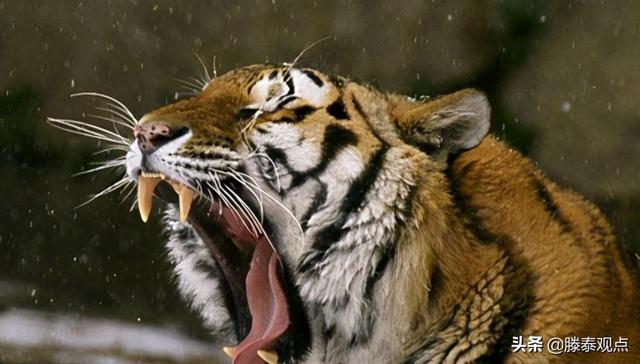 殷瓦钢是什么钢，殷瓦钢一公斤多少钱（中国打破国外垄断）