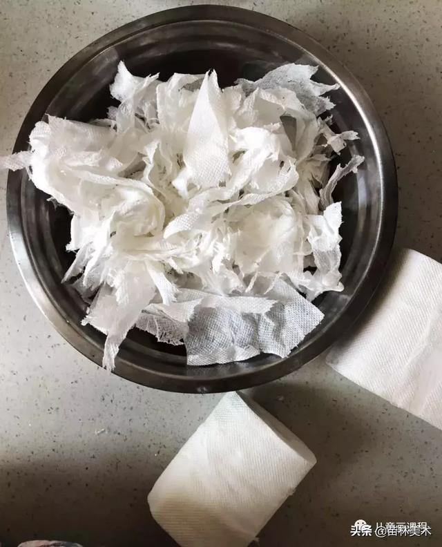 纸浆画的纸浆怎么做，纸浆画的纸浆怎么做（手作分享——爱上纸浆）