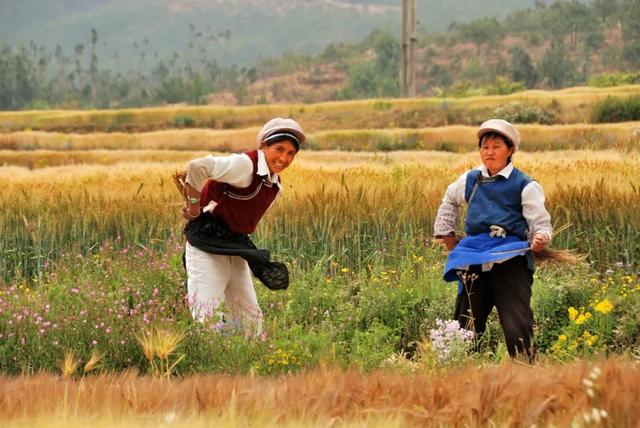 干饭是什么意思，网络词干饭是什么意思（中国干饭地图：天南海北）