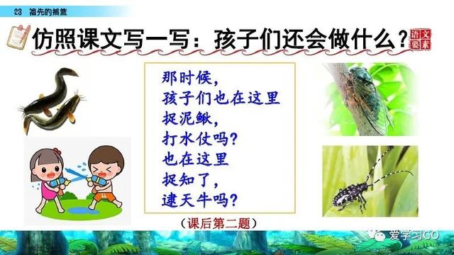 赛跑的拼音，赛跑的拼音怎么读（部编版二年级下册第23课《祖先的摇篮》知识点+图文讲解）