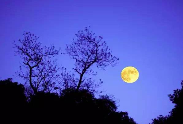 一片清心在玉壶是什么意思，一片冰心在玉壶,是什么意思（李白的这首诗只有4句）