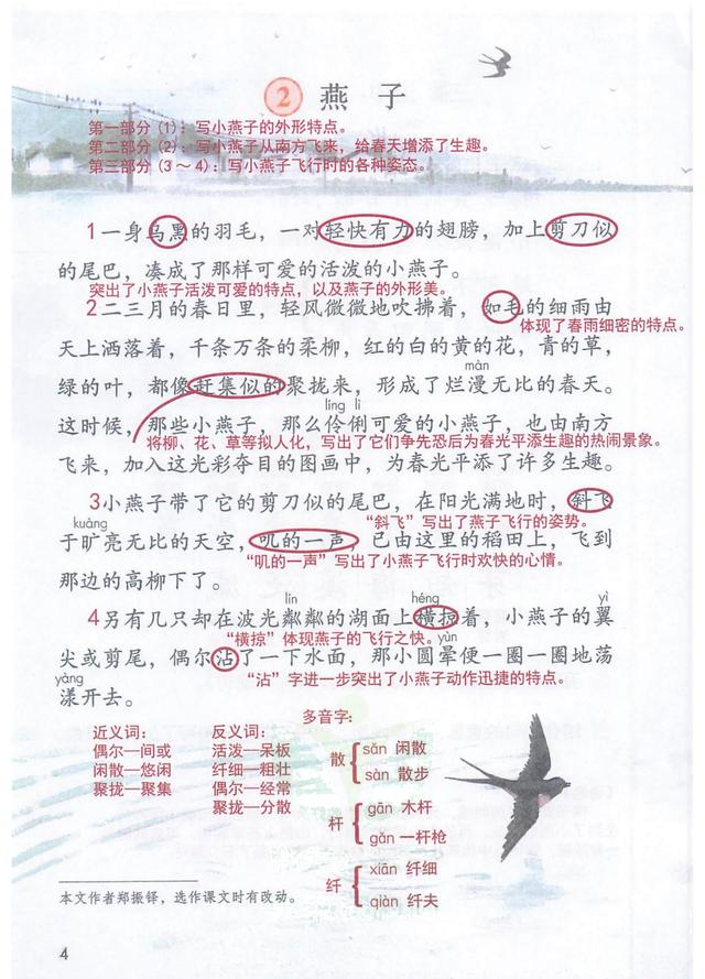 独角仙的特点是什么，独角仙的特点是什么什么,分别用了什么什么什么的方法（三年级语文下《第一单元课堂笔记》三个版本）