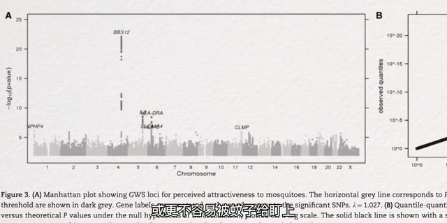 水蚊子咬人吗，打死一只蚊子判几年（西瓜视频给你科普夏天宿敌）