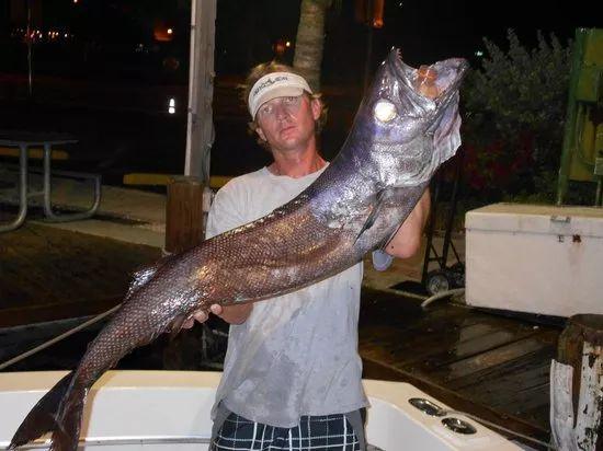 香港10位多面派影帝级人物，哪个才是你的最爱，香港10位多面派影帝级人物（也有人为基佬快乐鱼的鲜嫩而痛湿内裤）