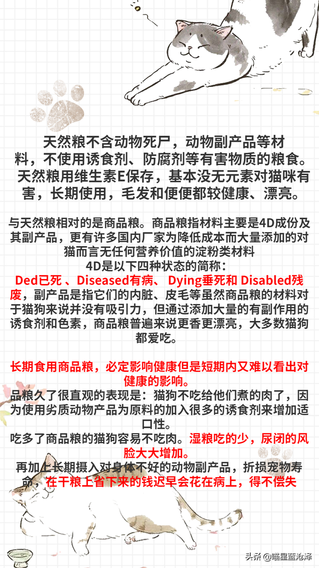 凌采露华官网，关于幼猫你不知道的第4件事——幼猫该吃什么东西