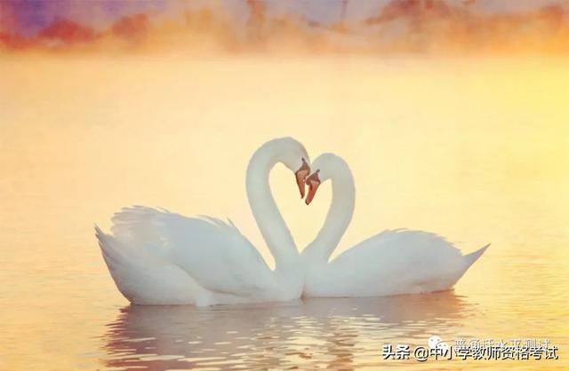 依偎是什么意思，依偎的意思是什么（依偎的“偎”怎么读）