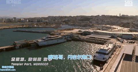 九家之书剧情，九家之书剧情分集（一起惊天腐败案浮出水面）