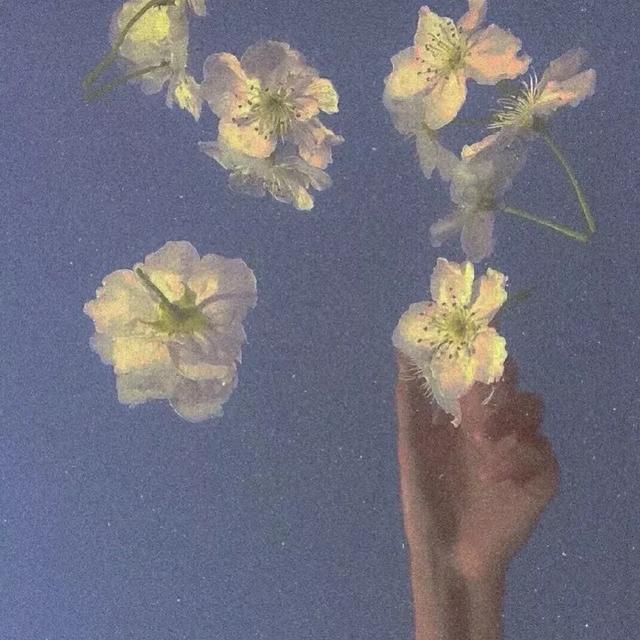 遇见即是上上签// 微信背景图‖ins风‖复古‖唯美＃.，遇见即是上上签,放弃属实下下签（朋友圈背景图‖“遇见即是上上签”）