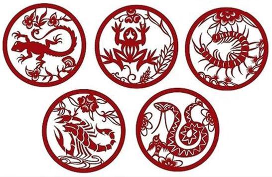 壁虎吃什么食物，家养壁虎吃什么食物（壁虎为何能在墙壁如履平地）
