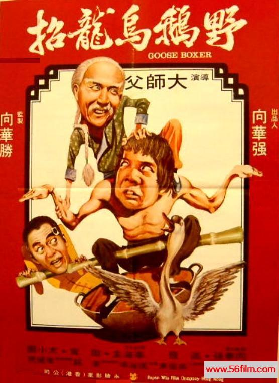 向华强个人资料和图片，向华强个人资料及图片（演功夫片：向华强是如何发家的）