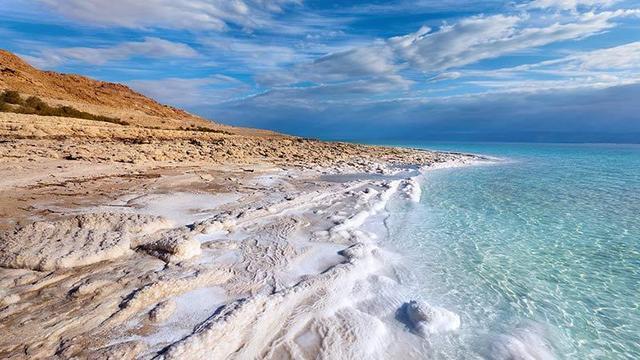 死海里的可怕生物，死海里有动物吗（科学家在生命禁区找到了新生物）