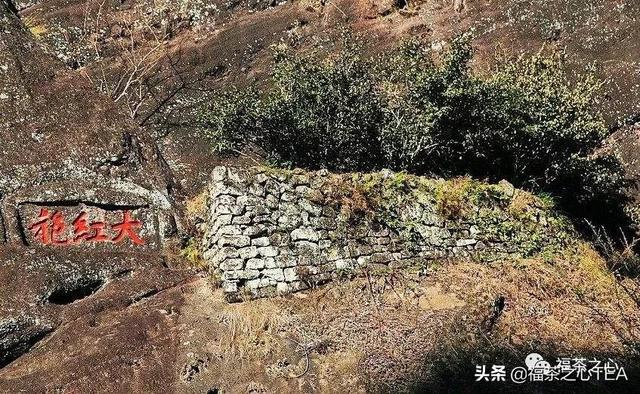 莲花峰茶不适宜哪些人喝,莲花峰茶有什么作用(了解福建全部茶叶看这一篇就够了) 莲花峰茶不适宜哪些人喝,莲花峰茶有什么作用(了解福建全部茶叶看这一篇就够了)