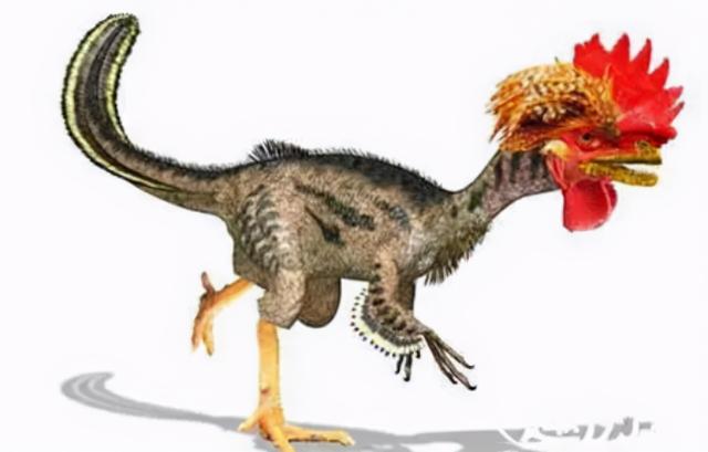 鸡是哺乳动物吗，哺乳动物有哪些（它们之间相差6000万年）