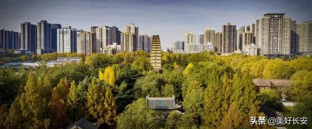 大雁塔是世界文化遗产吗，小雁塔是世界文化遗产吗（如何区分大雁塔和小雁塔）