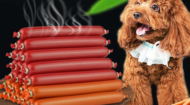 狗粮人能吃吗，狗粮可以人吃么（这几种“人食”真的不适合狗狗吃）