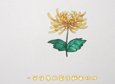 菊花简笔画，菊花简笔画视频（菊花简笔画：教程步骤简单）