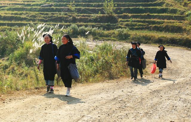 交杯酒是哪个民族的，交杯酒是哪里的传统（特色浓郁的布依族酒文化）