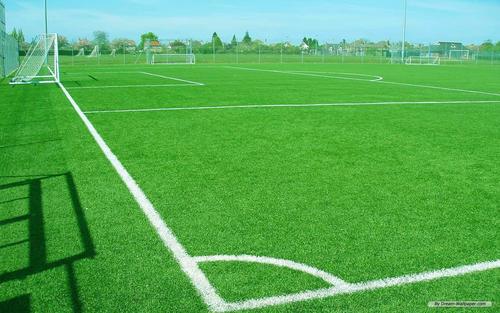 如何种植马尼拉草坪，如何种马尼拉草皮（中国西南地区常用暖季型草坪草--马尼拉草）