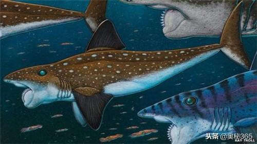 邓氏鱼vs巨齿鲨(史前最恐怖的五种鱼类)