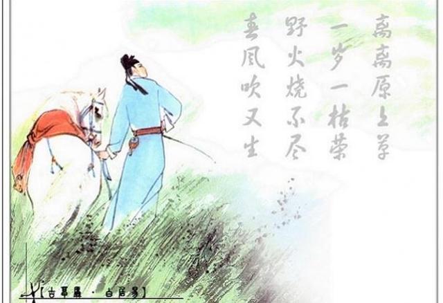 妇女之友什么意思，妇女之友什么意思卫生巾（白居易诗意晒工资）