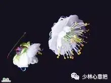 白牛胆的功效与作用，白牛胆的功效与作用禁忌（中药图片大全与功效）