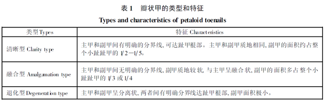 为什么小脚趾甲是两瓣儿，为什么小脚趾甲是两瓣的（小脚趾指甲分成两瓣的人）