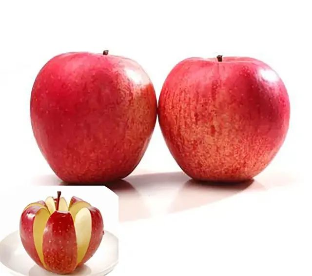 秦冠苹果有什么特点，秦冠苹果的特点（竟不知道它有这么多的品种）