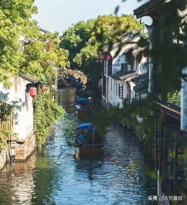 葱茏和葱笼的区别，茏苁（风月葱茏记忆暖）