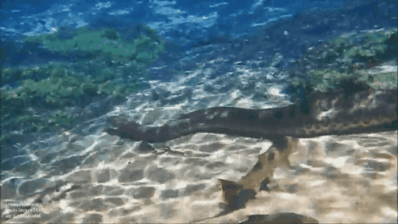 大海图片，大海图片真实照片（大海令人恐惧的一面）