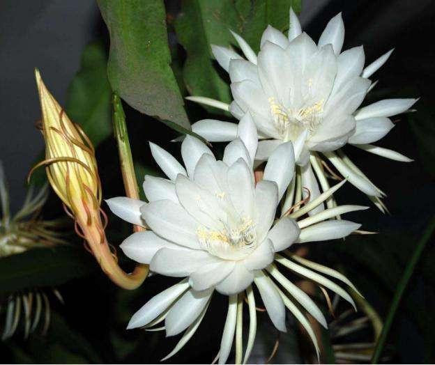 巨大财运来临的前兆，巨大财运来临的前兆有哪些（遇到的人难逃一夜暴富~）