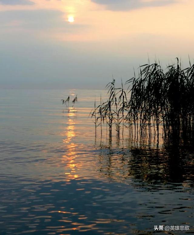 中國五大淡水湖排名,中國五大淡水湖從大到小排名(五湖四海指的是哪五