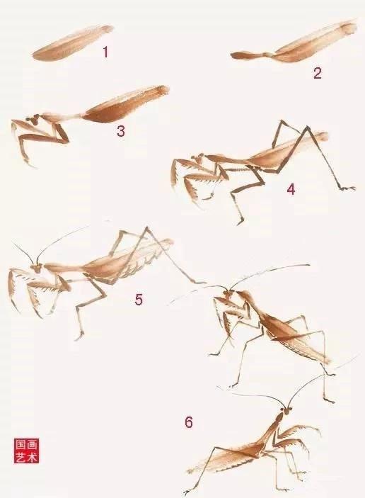 蝗虫简笔画怎么画，蝗虫的简笔画怎么画（螳螂、纺织娘）
