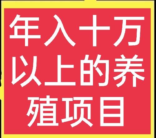 养殖什么赚钱(养兔的利润与成本)
