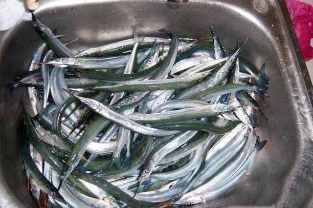 怎样做马步鱼，怎样做马步鱼汤（这种又细又长的鱼名叫“马步鱼”它既是海鱼又是河鱼）