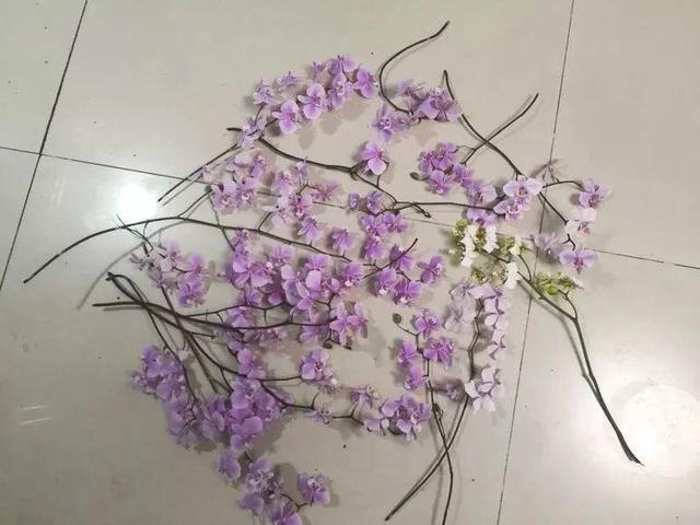 蝴蝶兰的养殖方法和注意事项，蝴蝶兰的养殖方法及注意事项大全（蝴蝶兰想养好很容易）