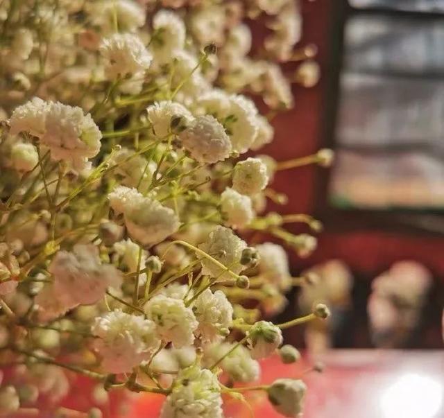 痛定思痛下一句是什么，痛定思痛是什么意思（​痛定思痛 痛改前非）