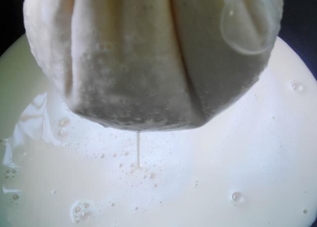水豆腐的制作方法及配方，自制水豆腐的家常做法（15分钟出豆腐）