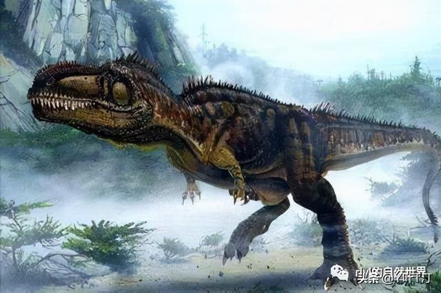 特暴龙 体态比较大属于暴龙超科远亲是霸王龙，特暴龙和霸王龙谁厉害（异特龙超科<下盘点>）