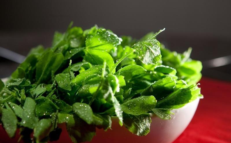 圖片[2]-【豌豆尖肉丸湯】做法步驟圖 清甜可口-起舞食譜網