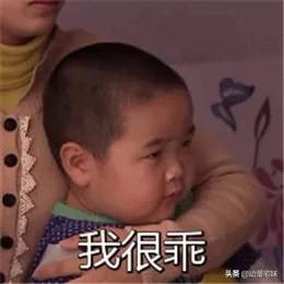 tatan为什么走红，tatan是怎么火的（是碰到这些刁钻难缠的熊娃表情包）