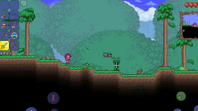 泰拉瑞亚新手攻略，steam泰拉瑞亚新手攻略（《泰拉瑞亚》手游入坑太难）