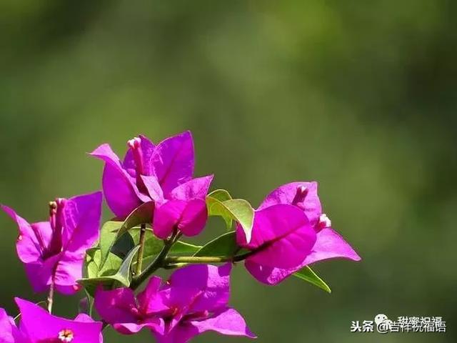 同事退休祝福语，给退休同事的祝福语2022（退休三气、三有、三乐……句句入骨）