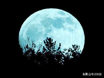 周杰伦烟花易冷，烟花易冷为什么被禁（周杰伦《烟花易冷》有多美）