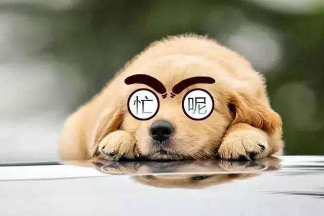 997工作制是什么意思，啥叫997工作制（某互联网公司强制实行997）