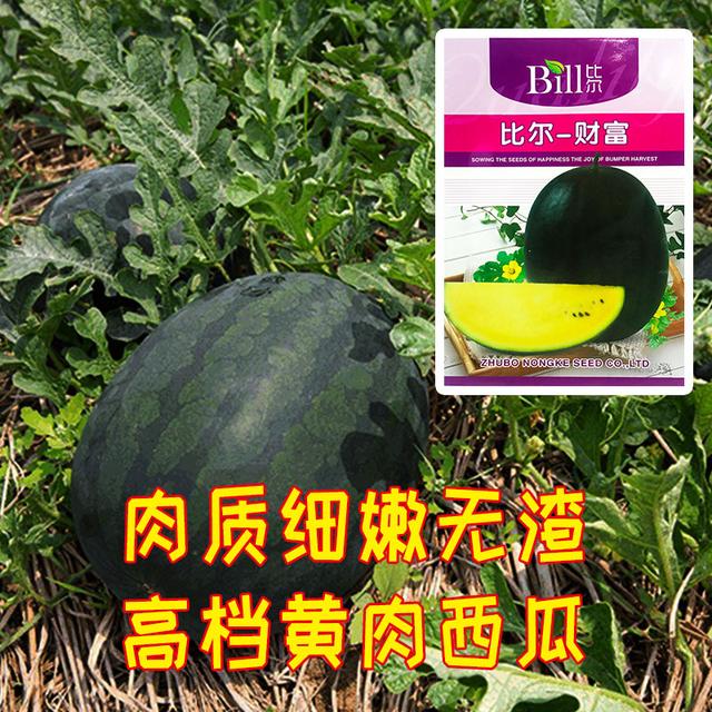 黄肉的西瓜叫什么瓜，比常规西瓜更甜（黄色肉的西瓜叫什么）
