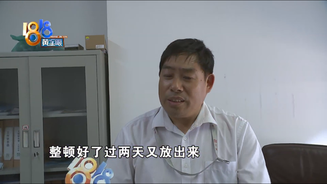 家里很干净为什么有苍蝇，家里经常有苍蝇（“外环境”需要改善）