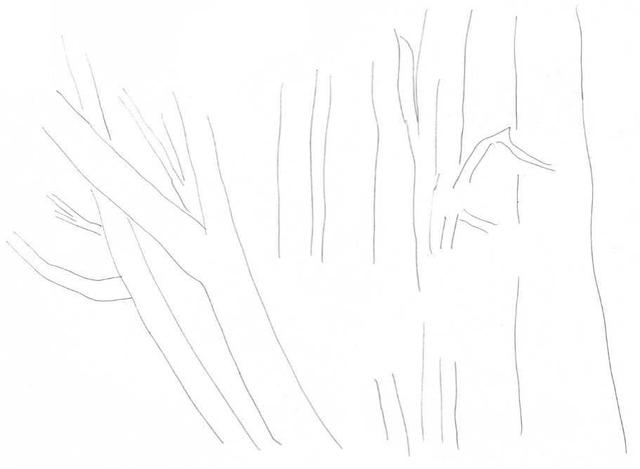 小树简笔画怎么画，小树的简笔画怎么画（教你三种常见树木画法）